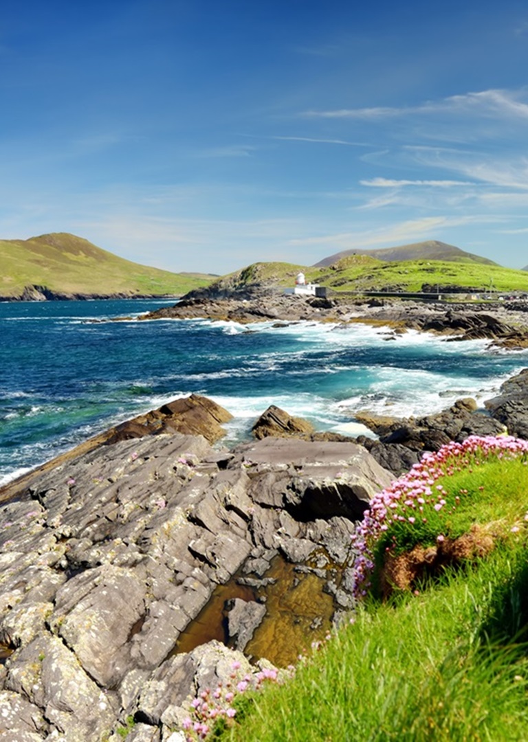 96eccd54-3cba-44c5-a67f-bdc09fbe0324