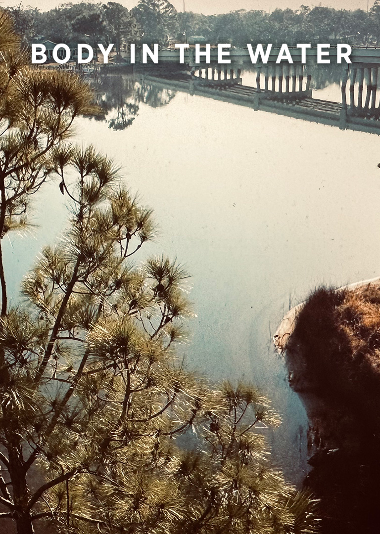 BODY IN THE WATER - thumbnail