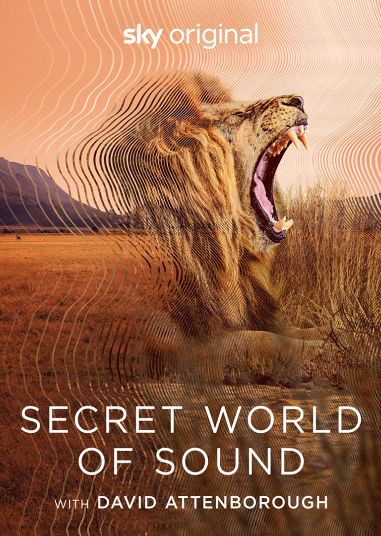 SECRET WORLD OF SOUND - thumbnail