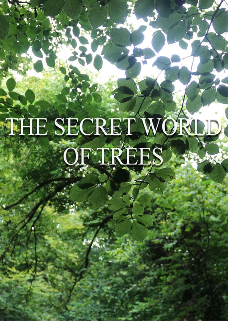 847e6df5-bac1-4dbe-b31b-6db323ade5c1